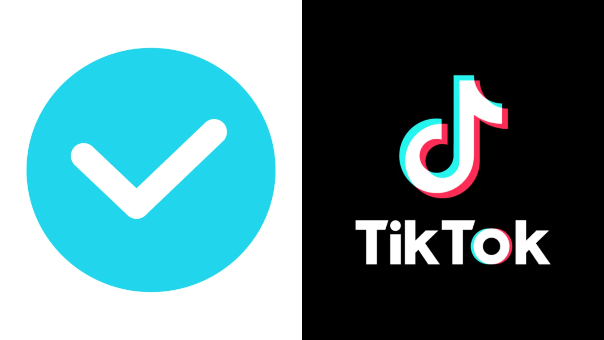 How To Obtain Verification On TikTok
